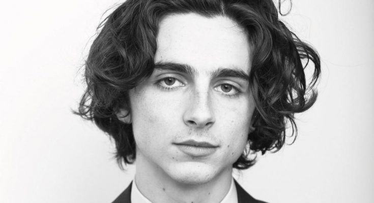 Timothee Chalamet's Shoe Size, Height, and Weight Revealed - Celebrity ...